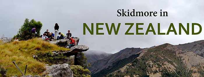 Skid NZ header